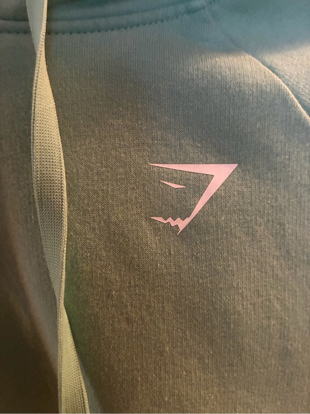 Gymshark Sage Green Hoodie with Pink Logo